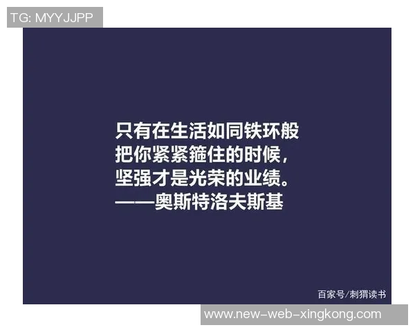 篮球明星的名言激励人生的智慧与奋斗精神分享